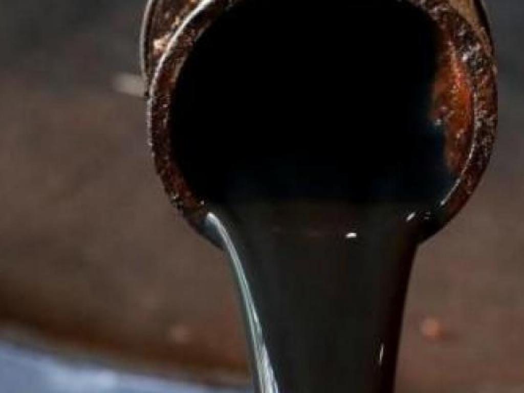 Blocs pétroliers : la RDC promet de veiller au respect de l'environnement