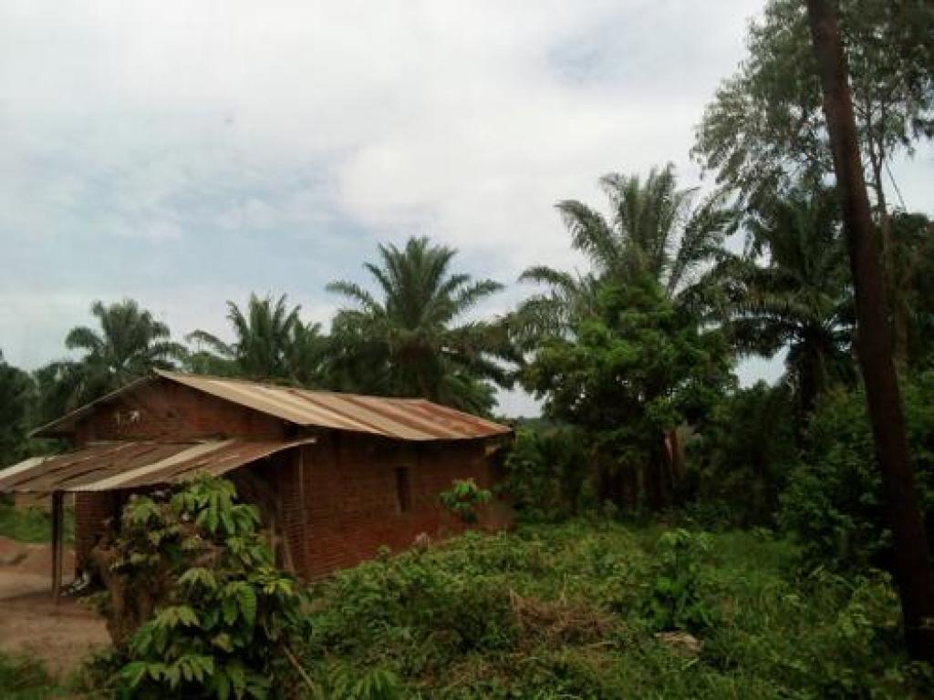 Un village sur la route Beni-Butembo dans le Nord-Kivu. Photo Blaise Makasi. Radio Okapi