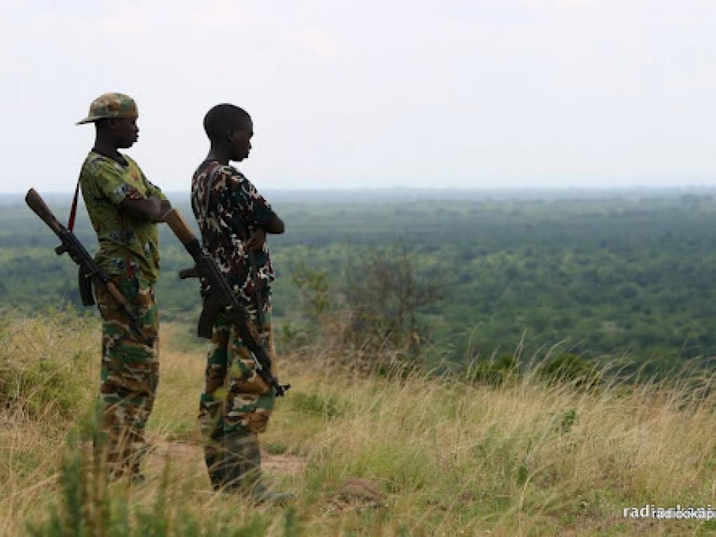 Jeunes gens armés dans l'Est de la RDC.