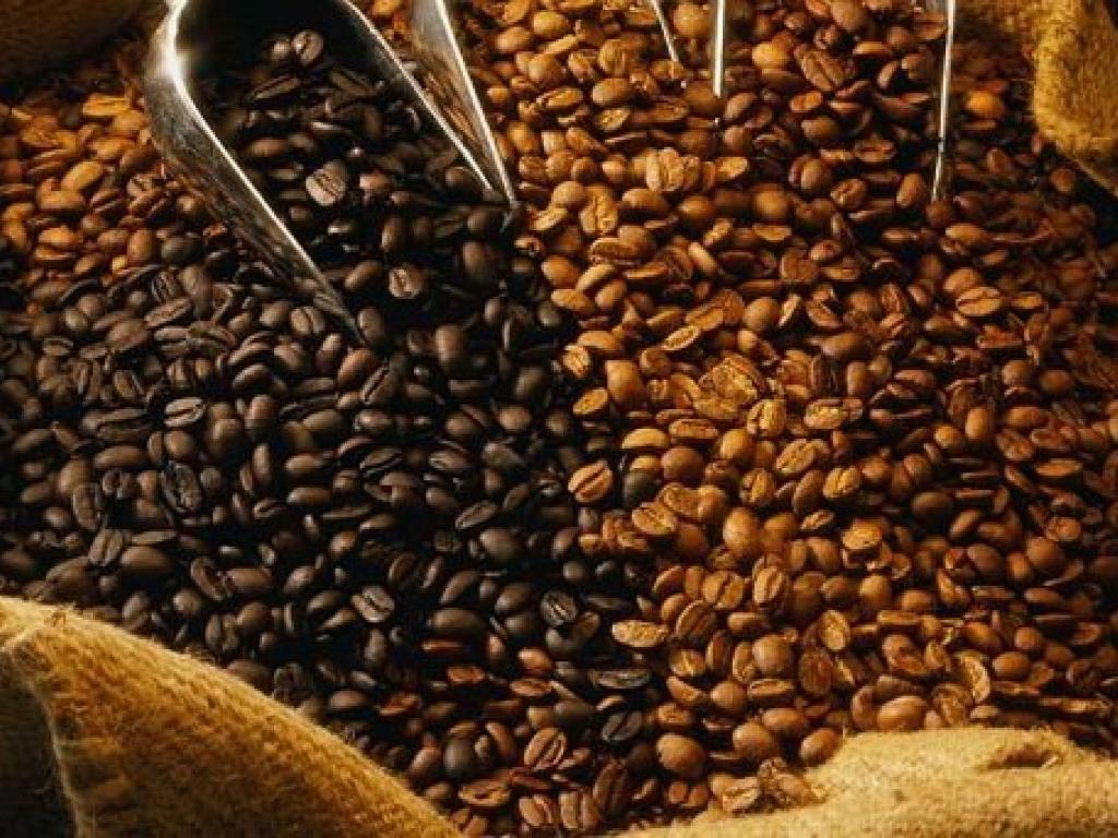 Les deux variantes du café congolais devraient se vendre cette semaine respectivement à 4,04 USD le Kg contre 4,19 USD le Kg