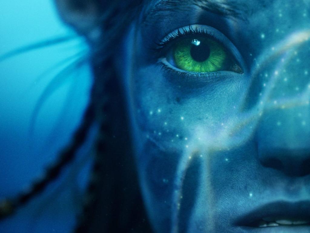 Avec pres de 6 millions d' entrees au box office francais, Avatar 2 devrait devenir le film le plus regarde en France