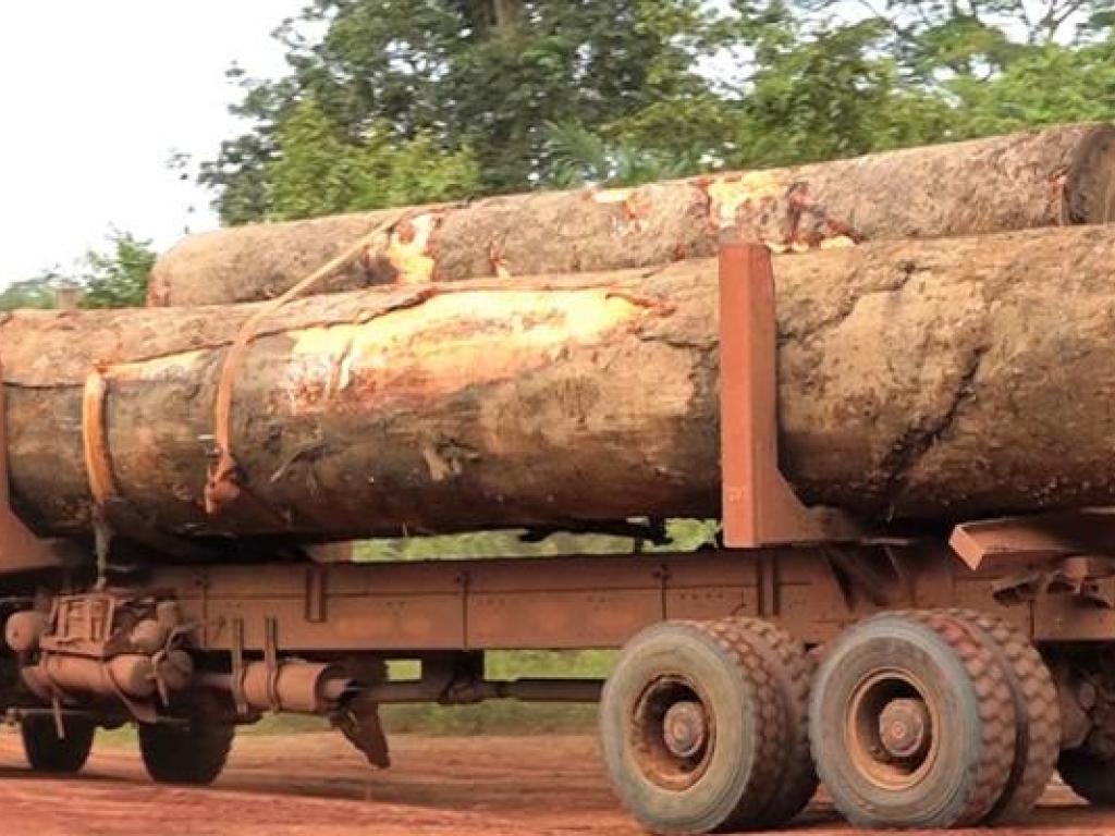 Un camion d'une entreprise chinoise transportant du bois