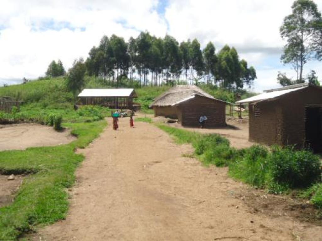 (Photo d'illustration) Un village du territoire de Djugu en Ituri. Janvier 2022. Radio Okapi/Ph. Marc Maro Fimbo.
