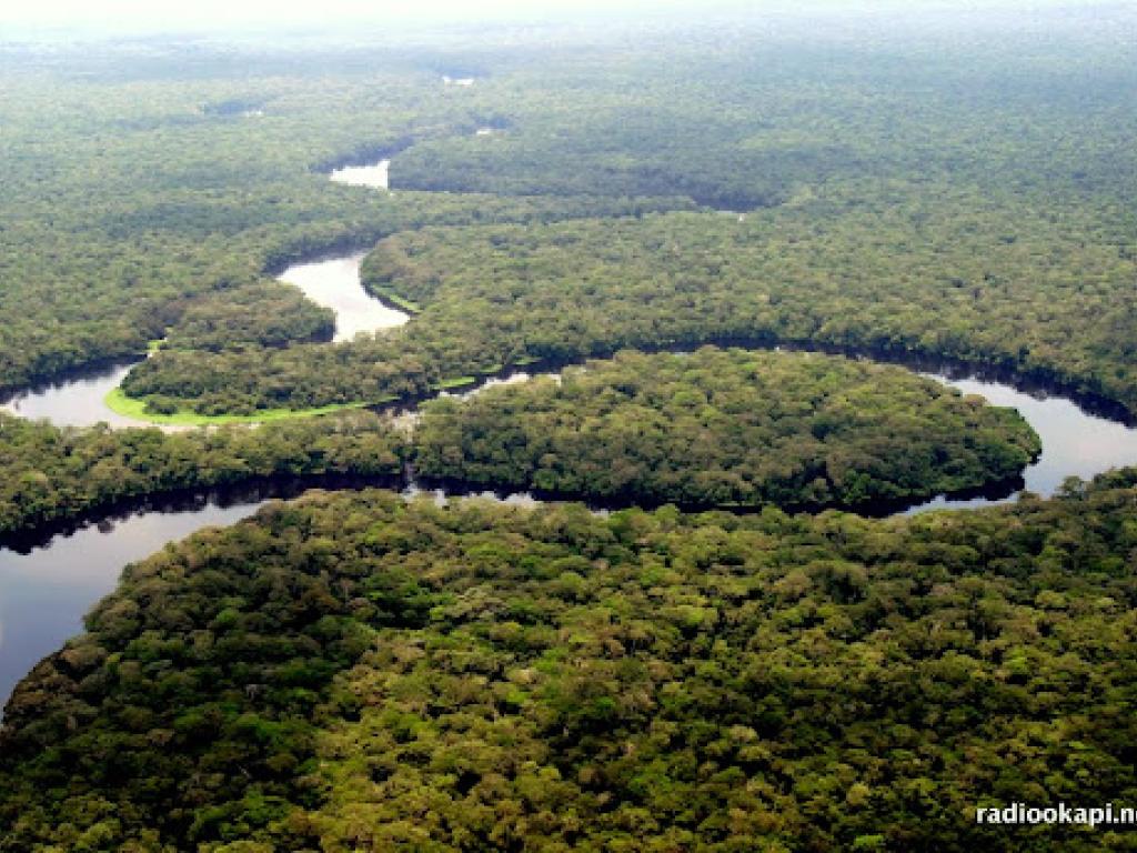 Rivière dans le parc national de la Salonga, Forêt équatoriale, 2005.