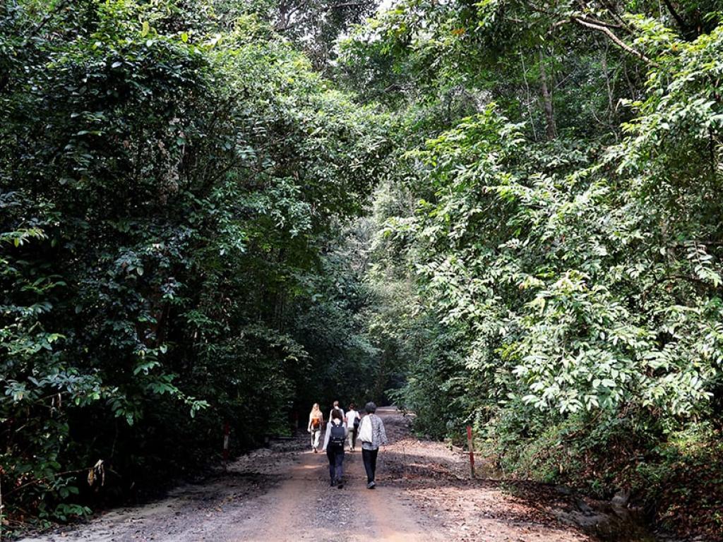 « Le Bois des géants », près de Libreville, le 28 février 2023. Visitors walk in the « Giant’s Woods » national reserve in Libreville, on February 28, 2023, on the eve of the start of the One Forest Summit. – The One Forest Summit is held on March 1 and 2, 2023, in Libreville © LUDOVIC MARIN/AFP