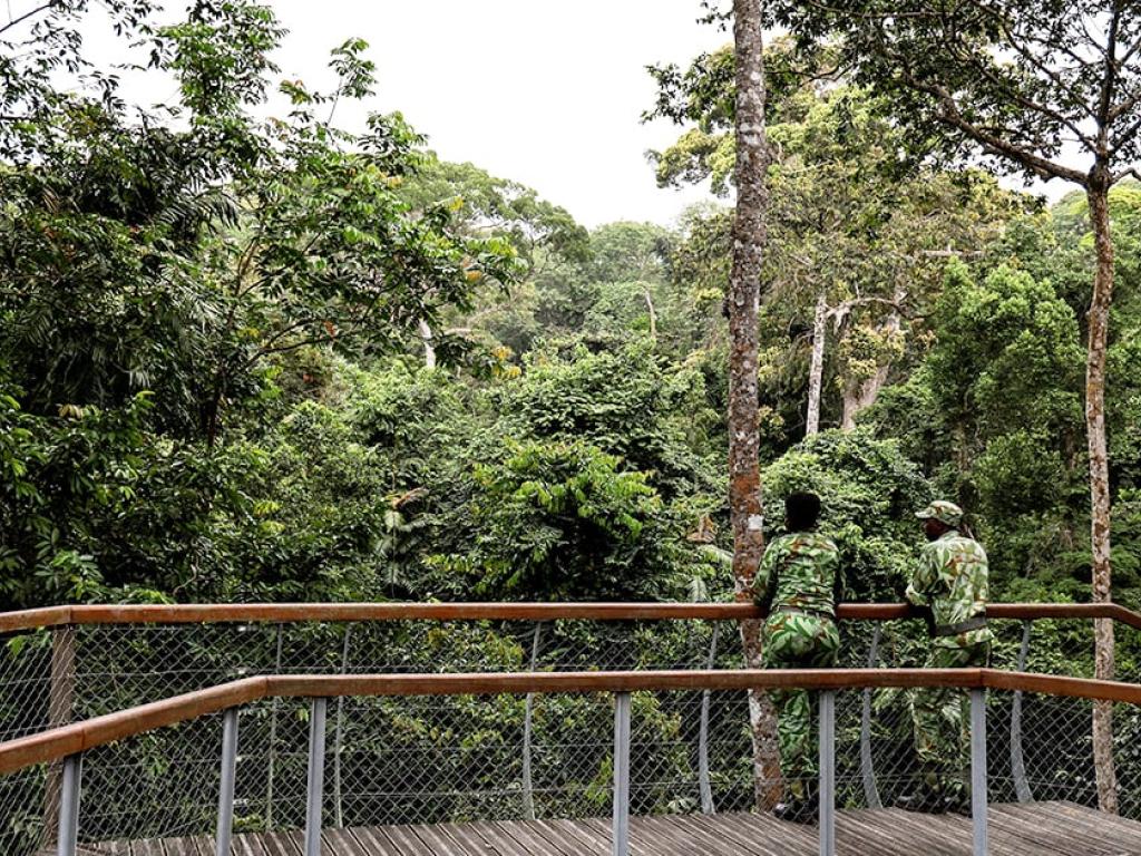 Des gardes forestiers dans la réserve nationale « Bois des Géants » à Libreville, le 28 février 2023. © LUDOVIC MARIN/AFP
