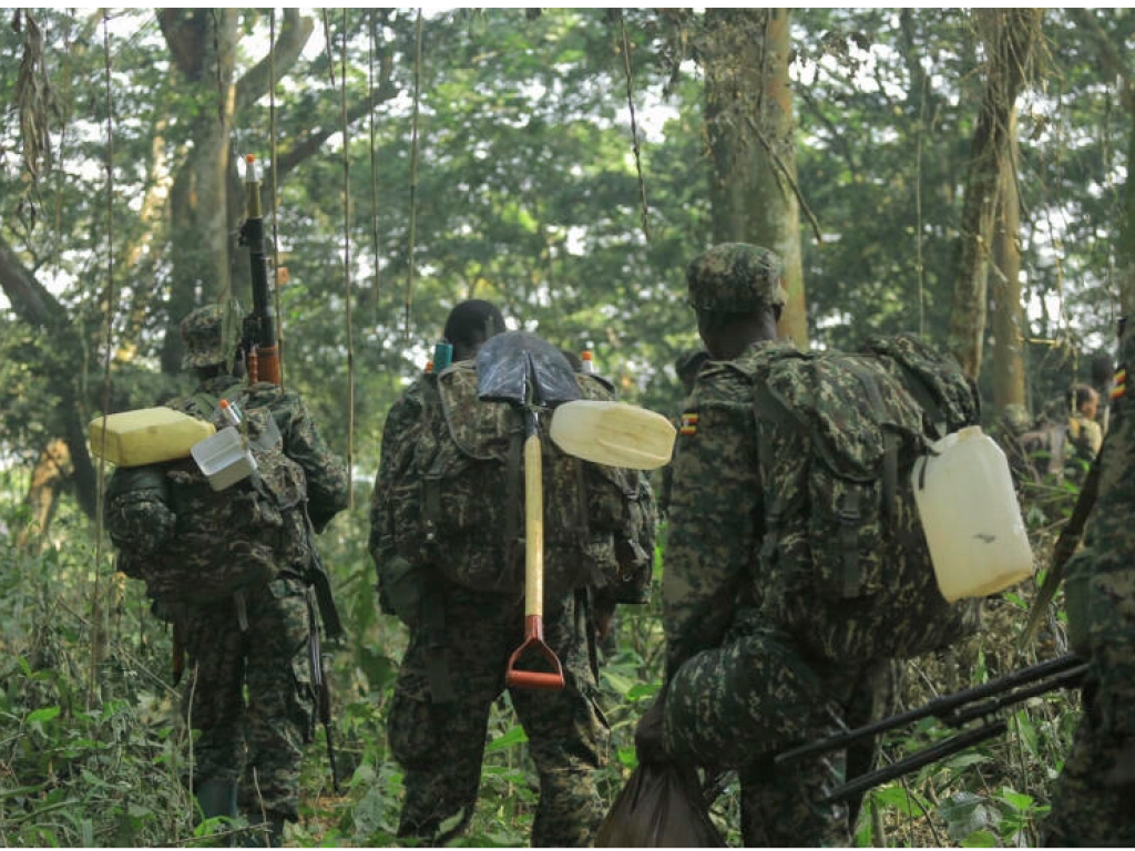 Une des opérations conjointes entre les armées ougandaise et congolaise dans le parc national des Virunga en RDC (image d'illustration) © SEBASTIEN KITSA MUSAYI/AFP