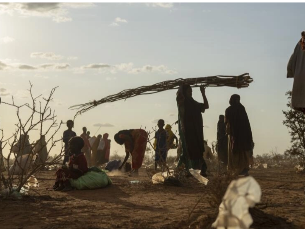 Selon le rapport du HCR, le nombre de déplacés en raison des conséquences du changement climatique a quasiment triplé, notamment à la Corne de l'Afrique, qui a connu la pire période de sécheresse de son histoire. Ici, des Somaliens déplacés en ce sens, dans un campement près de Dollow, le 19 septembre 2022. © Jerome Delay / AP