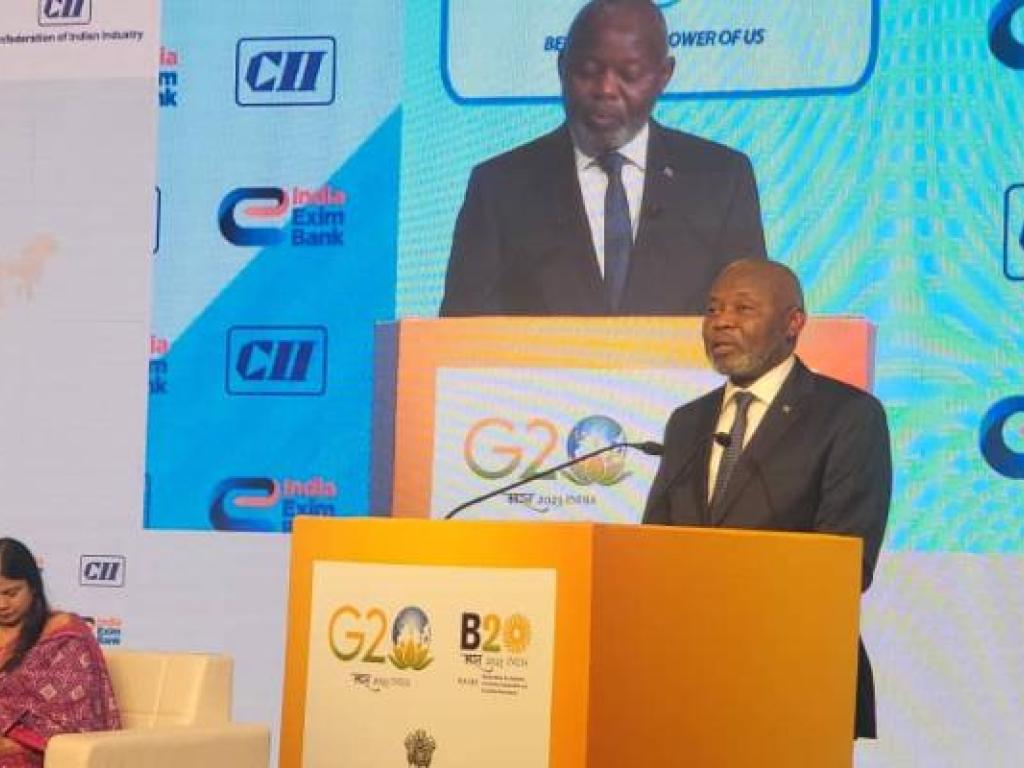 Vital Kamehre, Ministre de l'économie nationale