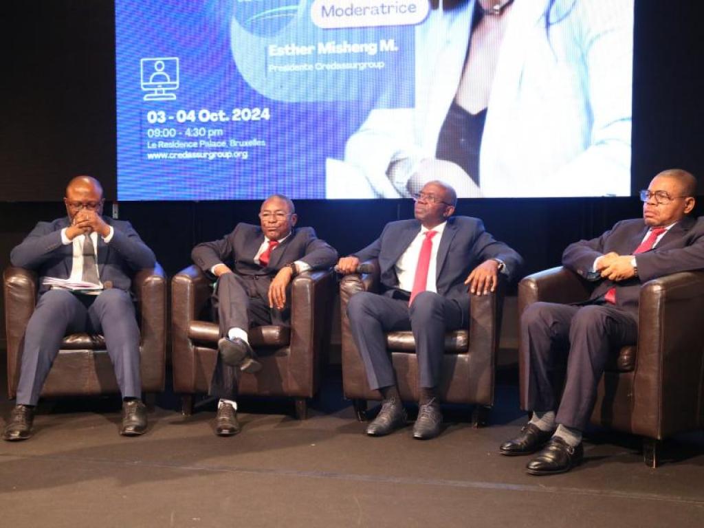 Le FPI, à travers notamment son DG, au Forum EuropAfrica Investment à Bruxelles