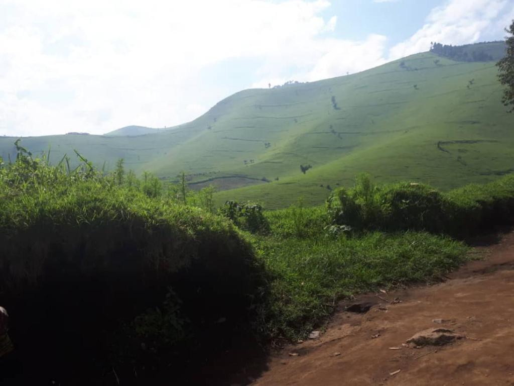 Vue de la verdure de Masisi (Nord-Kivu), appelée « Suisse du Kivu ». 2020. Radio Okapi /Ph. Denise Lukesso