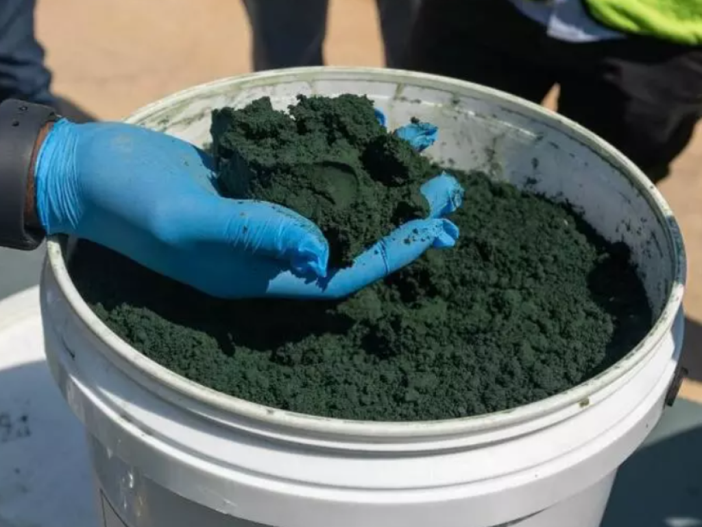 Un employé de la société chinoise CMOC montre de l'hydroxyde de cobalt produit à la mine Tenke Fungurume, l'une des plus grandes mines de cuivre et de cobalt au monde, dans le sud-est de la République démocratique du Congo, le 17 juin 2023. AFP - EMMET LIVINGSTONE